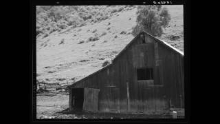 American Folk Music (CA): Granny, does your dog bite