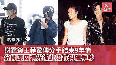 謝霆鋒王菲驚傳分手結束9年情　分開原因曝光：彼此沒有糾纏爭吵｜01娛樂｜謝霆鋒｜王菲｜香港藝人 - 天天要聞