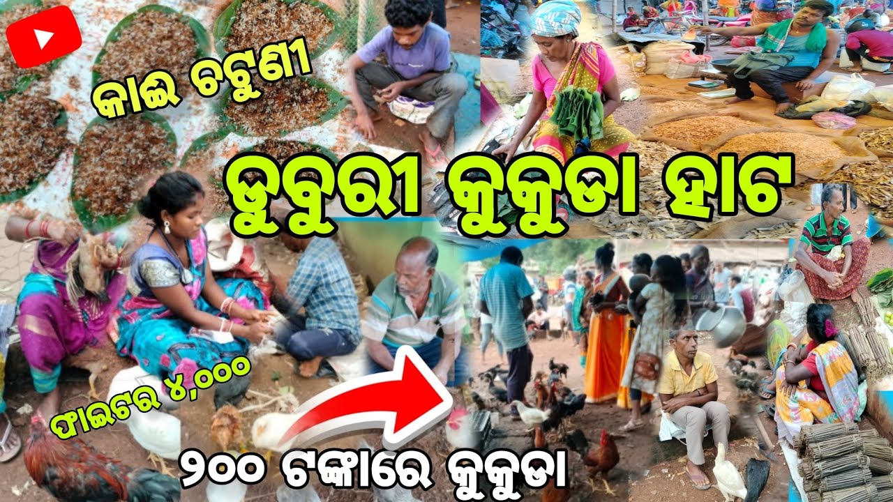 ଡୁବୁରୀ ହାଟ ରେ କୁକୁଡା ଦର କେତେ ?||Duburi Kukuda Hato ||Jajpur ||କୁକୁଡା ₹୪,୦୦୦ Sanjaysanjujkp |Odiavlog
