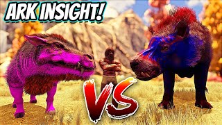 The ANDREWSARCHUS V.S THE DAEODON!! Ark Insight, Stat Analysis || Ark Fjordur!