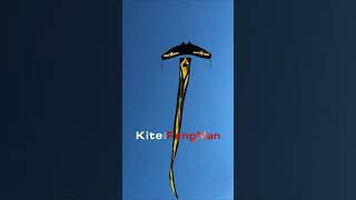 Kite Lover 💚Kite flying In winter 🥶 patang bazi #shorts #kite #kiteflying #patang #ad #patangbazi