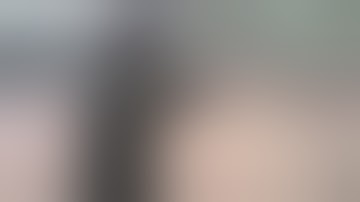 M11/9 with Lage Max-31 MK2 upper