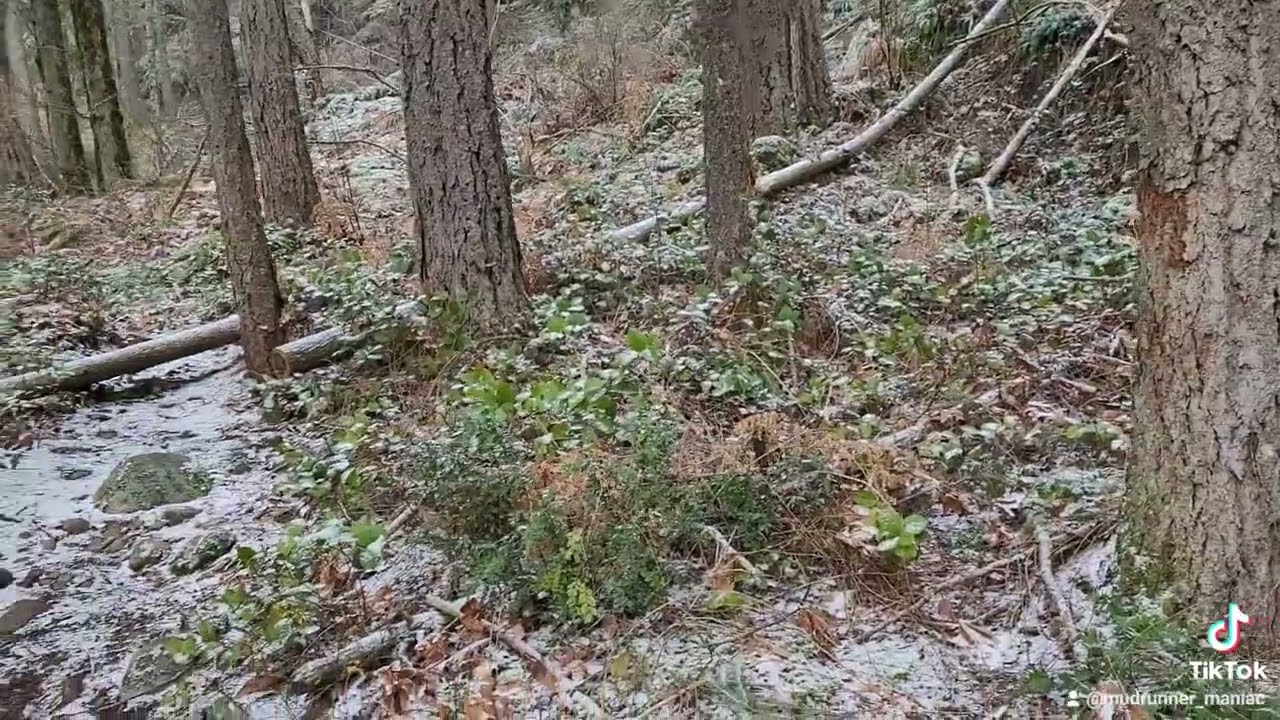 Dewdney Mtn - Ravens Bluff Area - Canada 🇨🇦 BC - Hiking Trip