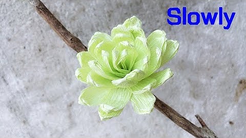 ABC TV | How To Make Paper Flower From Crepe Paper (Slowly) - Craft Tutorial
