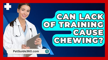Can Lack Of Training Cause Chewing? - PetGuide360.com