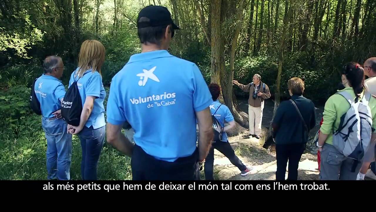 kxan traffic Voluntariat en medi ambient. Instants que val la pena compartir