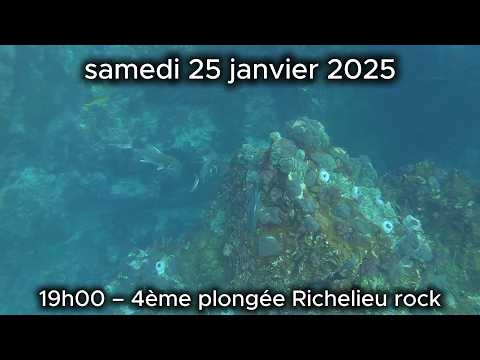 PLONGEE 4 RICHELIEU ROCK THAILANDE 2025