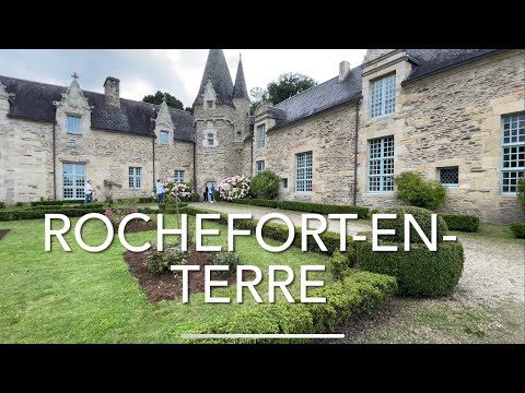 Video: Rochefort ist eine Tafeltraube. Beschreibung, Vermehrung durch Stecklinge