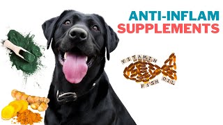 Anti-inflammatory Supplements That Help Keep Your Dog Healthy And Pain-free!