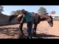 How to pick up a horses feet especially one that kicks!