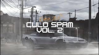 DJ CULO SPAM, VOL. 2 (GUARACHA) TERBARU ✅ VIRAL TIK TOK REMIX 2025 🔥