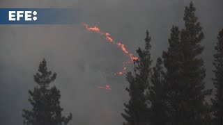 Preocupación por los incendios en Lugo, Zamora y Asturias