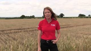#Farm24: A typical day of BASF agronomy manager, Ruth Stanley
