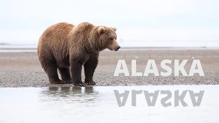 The best of Alaska in 2 weeks!
