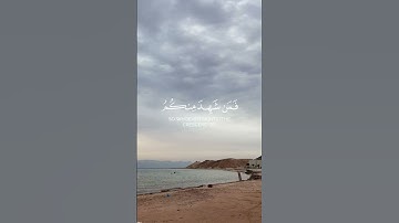 #القارئ_ياسر_الدوسري #سورة_البقرة #تلاوة_خاشعة #المصحف