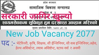 New Job Vacancy 2077 || सामाजिक विकास मन्त्रालय प्रदेश नं 2 || सरकारी जागिर