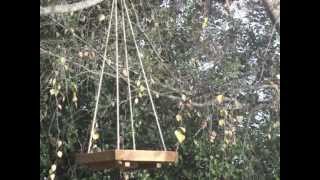 http://www.CreativeWoodCraft.co.nz Birds feeding on a Hanging Platform Feeder. This hand crafted wooden Bird Bath or Feeder 