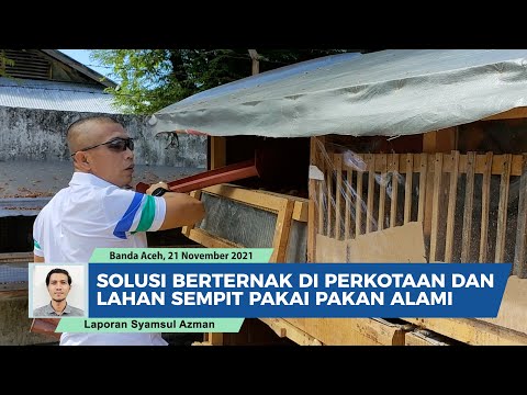 Solusi Pelihara Ternak di Perkotaan dan Lahan Sempit, Simak Penjelasan Kolonel Reki Aslog Kasdam IM