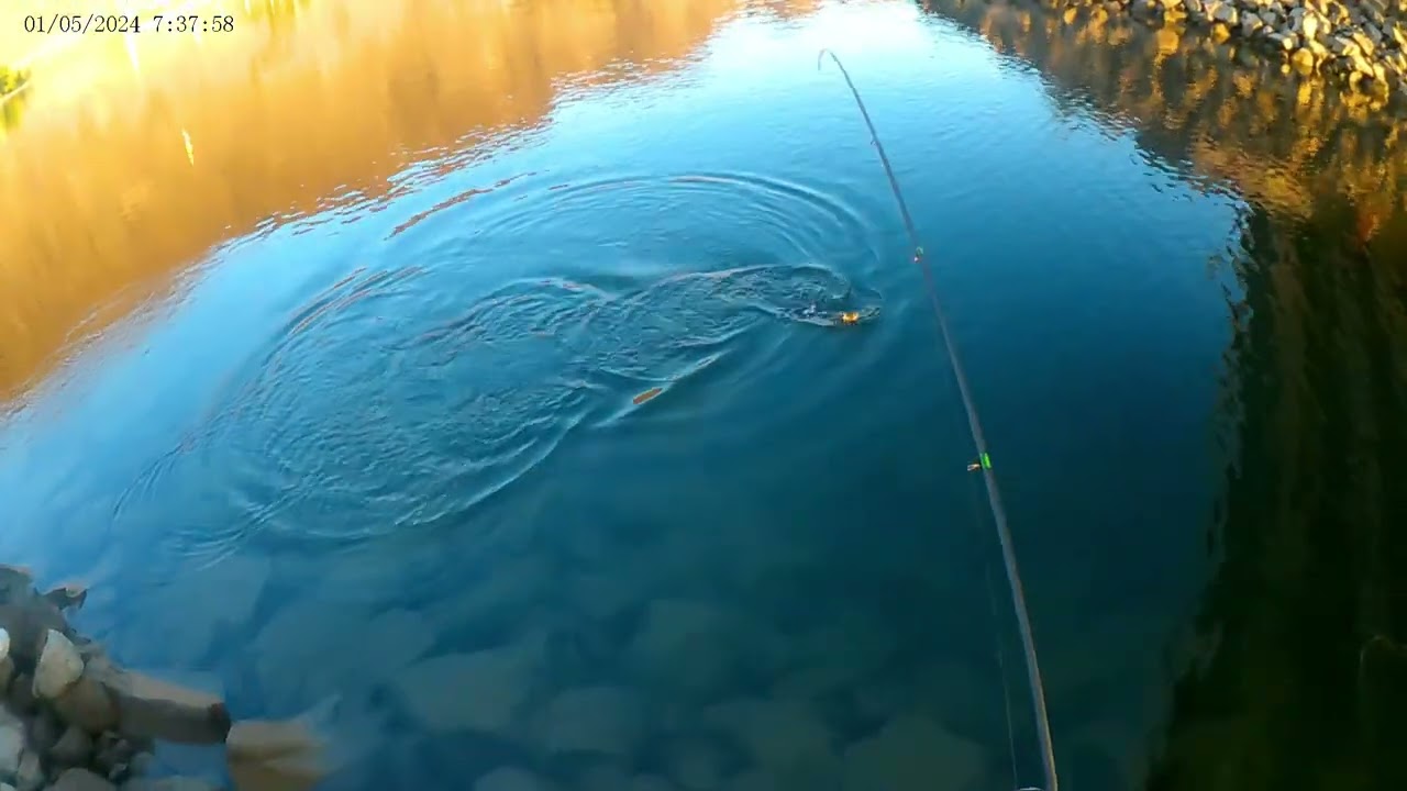 Bass Fishing Cresent Bar Bridge Rooster Tails