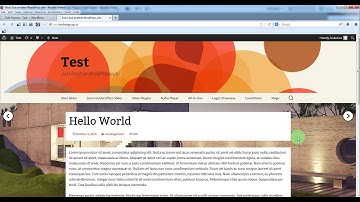 Magic Responsive Slider WordPress Plugin - How To Use It As FullScreen Background