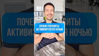 Паразиты активизируются ночью