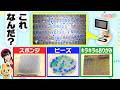 【難しすぎるクイズ】マイクロスコープ!何を拡大しているでしょう??【いろりろ公式】