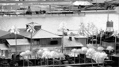 FLIR A8303sc - Port Scene Inverted