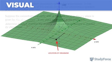 📚 How to find the maximum value of a directional derivative in 2D (Question 2)