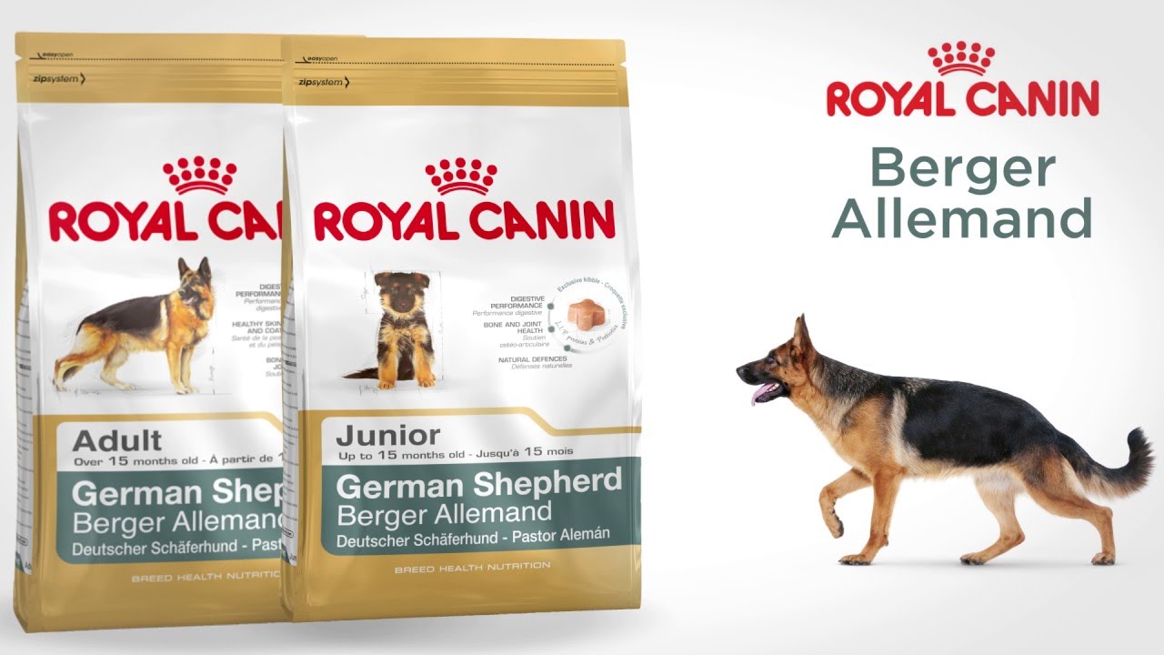 German Shepherd Nutrition Adaptée Pour Votre Chien