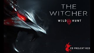 🐺 The Witcher Wild Hunt | CD RED - AUDIOBOOK/GAME 1 🇵🇱