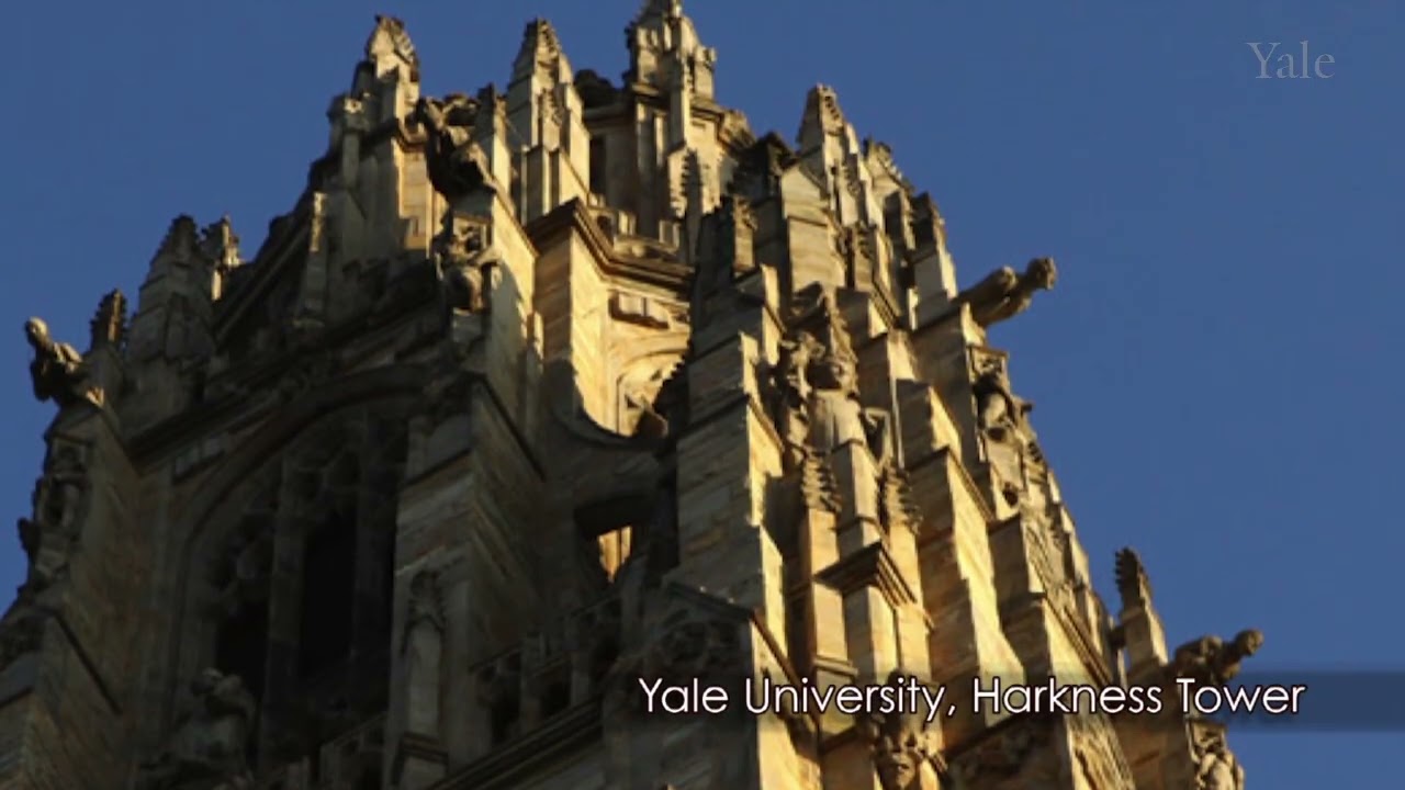 The Renovations of Notre-Dame | The Age of Cathedrals with R. Howard Bloch