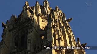 The Cathedral You See Isn't the Medieval One | The Age of Cathedrals