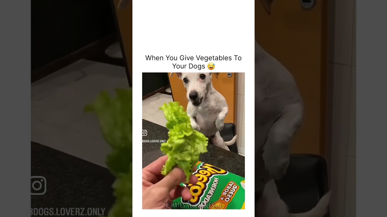 Не записывалась на овощную программу😭