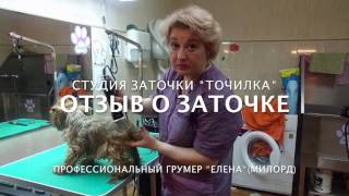 Отзыв грумера о заточке в студии "Точилка" #1 Отзыв грумера о заточке в студии "Точилка" #1