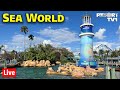 🔴Live: An Afternoon at Sea World with Jenna - Sea World Live Stream - 6-28-22