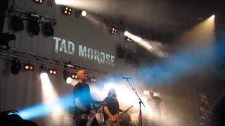 Tad Morose