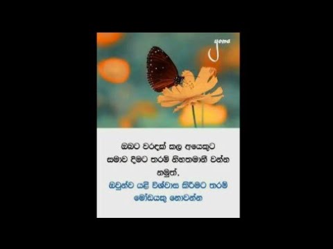 Wadan Sara Wadan Hithata Wadina Wadan Sinhala Wadan à¶'à¶š à¶´ à¶½à¶§ Youtube