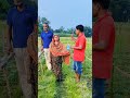 থাইল্যান্ডের শসা কিভাবে উৎপাদন করতে হয় #agriculture