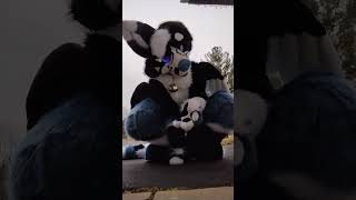 I Am Now Going To Bark At You