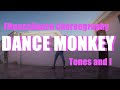 Dance monkey  tones and i  yukidancefit coreograga