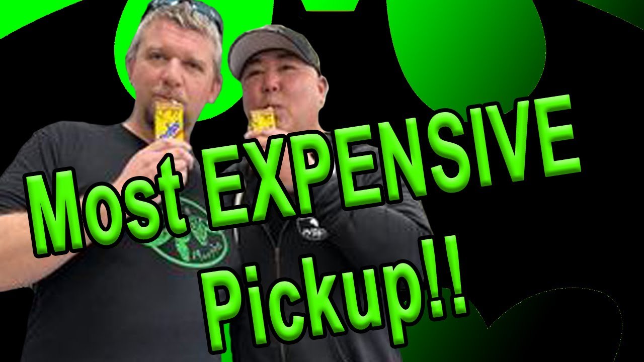 Most Expensive Ball Python Pickup! - YouTube