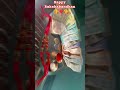 Happy Rakshabandhan aap sabhi logo ko #rakshabandhan #ytshorts #shorts #trending