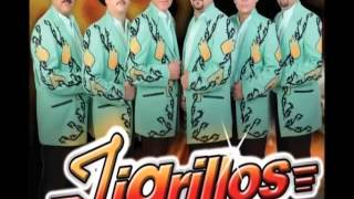 tigrillos - si no me quisieras chords