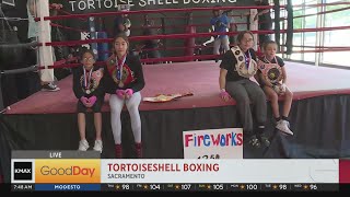 Tortoise Shell Boxing