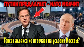 Путин предлагает мир. НАТО молчит. Почему генсек альянса не отвечает на условия Москвы?