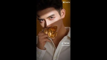 Tổng hợp các video về Trần Phi Vũ (Lý Tuân)