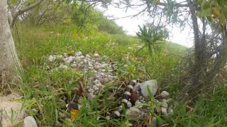 Nouvelle Caledonie Volume 1