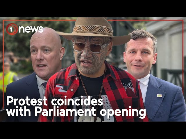 NZ Parliament opens to a day of national protest | 1News class=