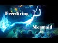 아른아른 추억 속 인어공주 프리다이빙 (Mermaid Freediving)