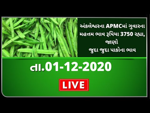 ગુજરાતની બધી જ APMCના તા.01-12--2020 દરેક પાકના ભાવ । TV9 NEWS